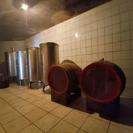 U Potkrovlju Apartman Karlóca